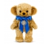 Merrythought 95th Anniversary Cheeky Bear T12A95 - view 2